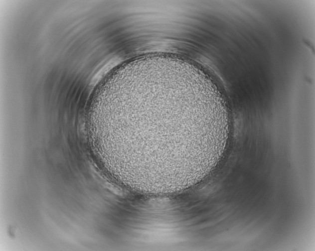 X0000102290882200808151950