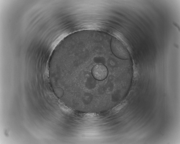 X0000102290883200808151950