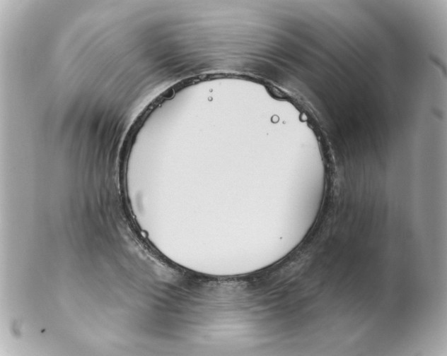 X0000102290884200808151950