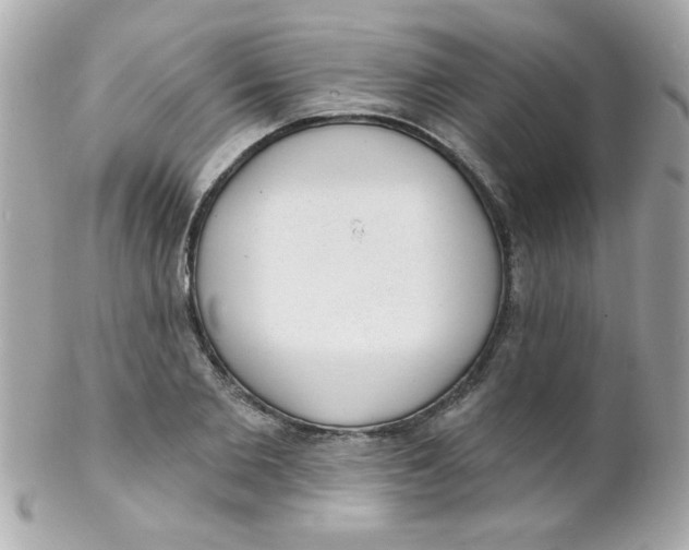 X0000102290885200808151950