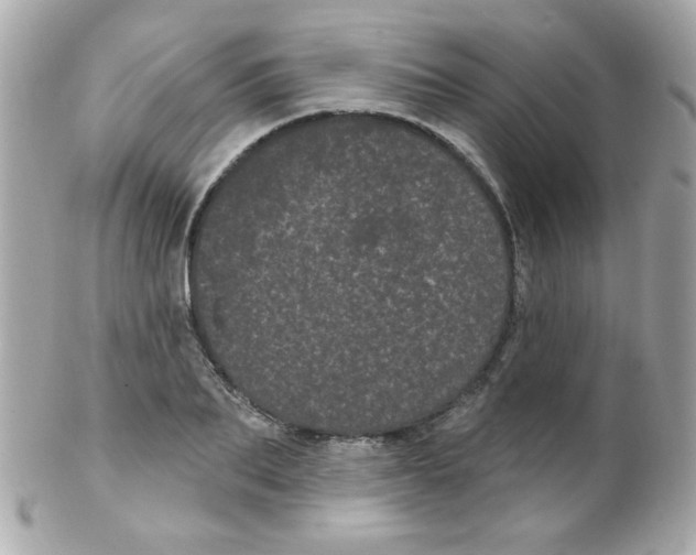 X0000102290887200808151950