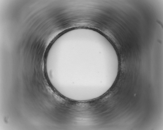 X0000102290888200808151950