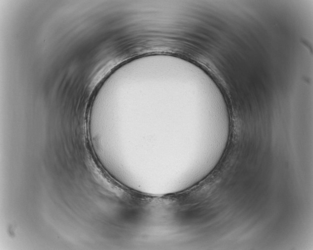 X0000102290890200808151950