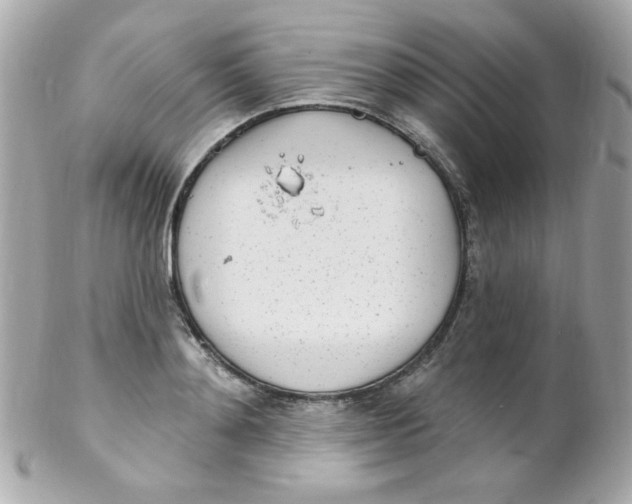 X0000102290892200808151950