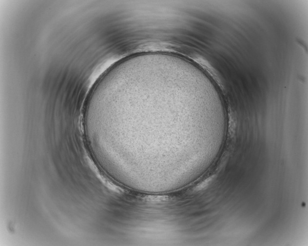 X0000102290893200808151950