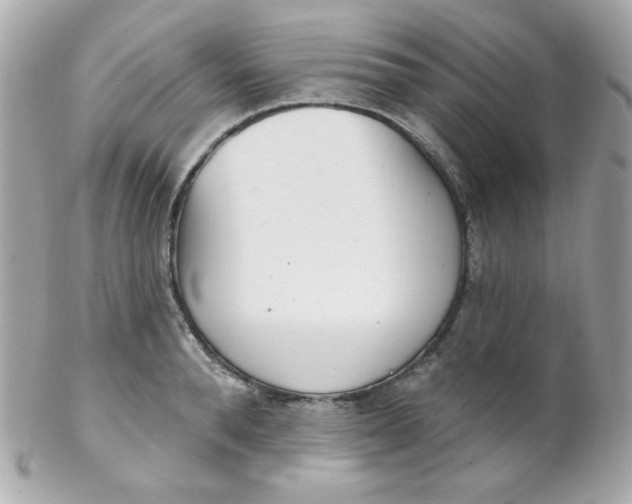 X0000102290896200808151950