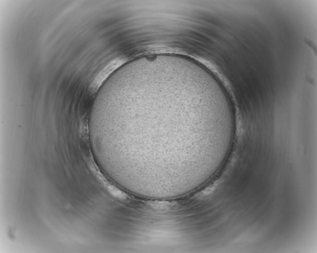 X0000102290897200808151950