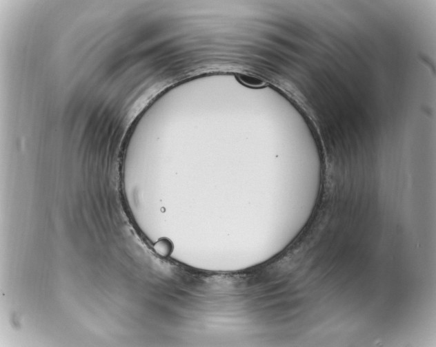 X0000102290898200808151950