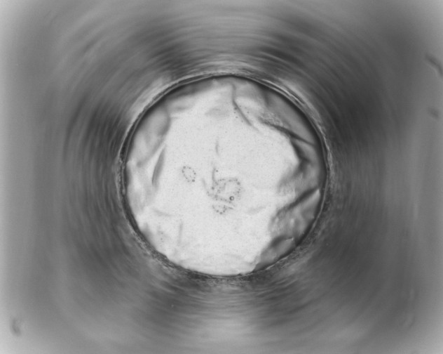 X0000102290899200808151950