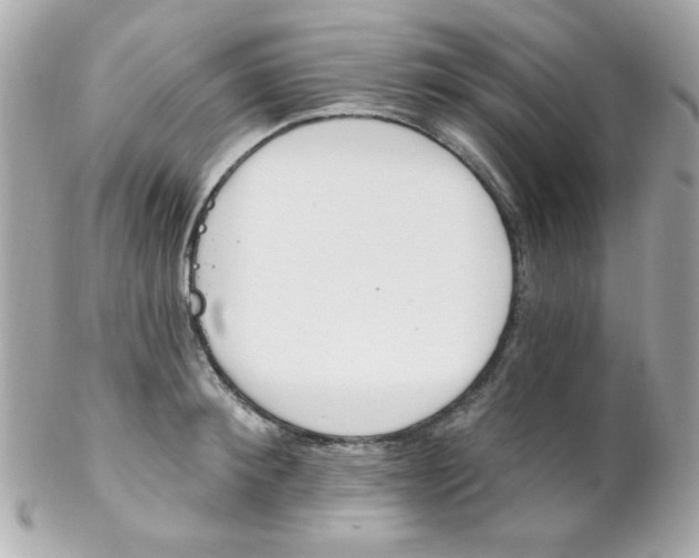 X0000102290900200808151950