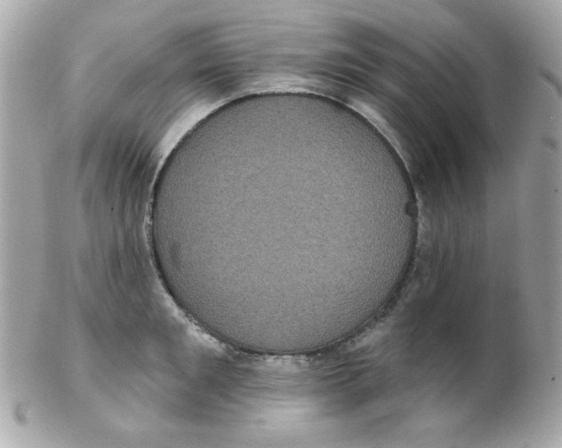 X0000102290901200808151950