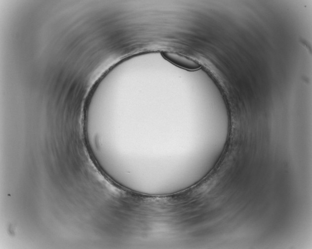 X0000102290902200808151950