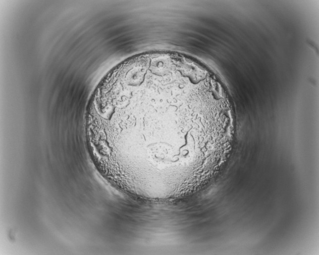 X0000102290903200808151950