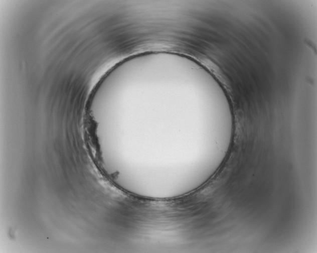 X0000102290904200808151950