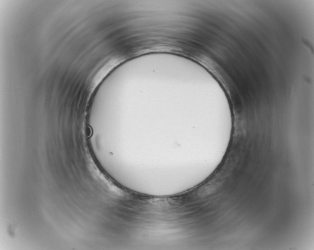 X0000102290906200808151950