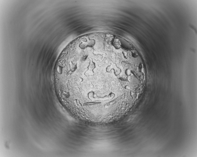 X0000102290907200808151950