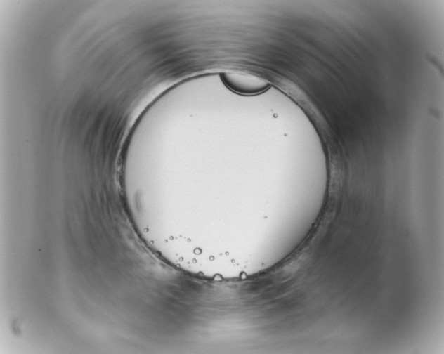 X0000102290908200808151950