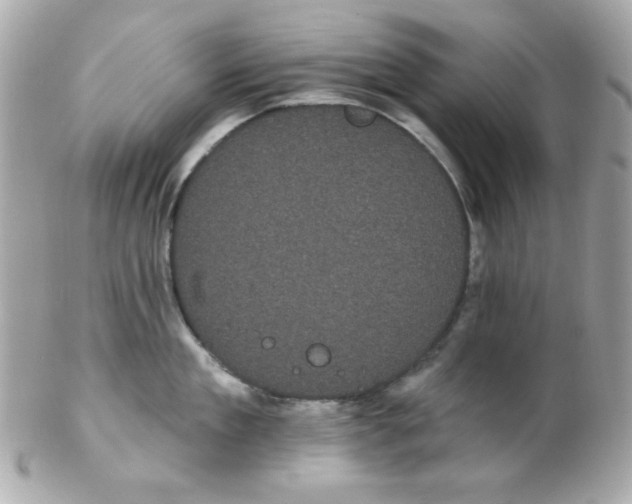 X0000102290909200808151950