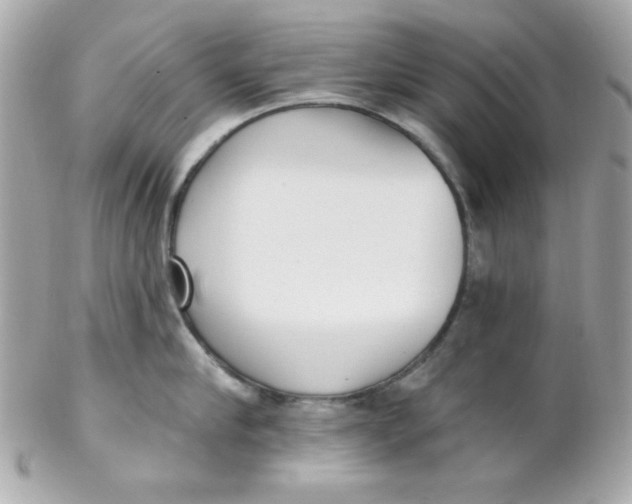 X0000102290910200808151950