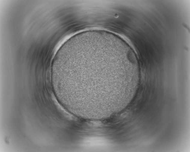 X0000102290911200808151950