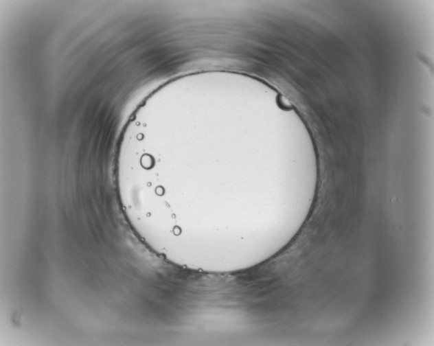 X0000102290912200808151950