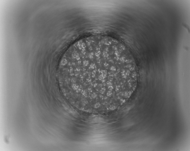 X0000102290913200808151949