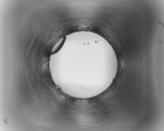 X0000102290914200808151949