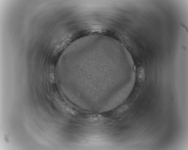 X0000102290916200808151949