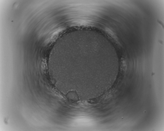 X0000102290918200808151949