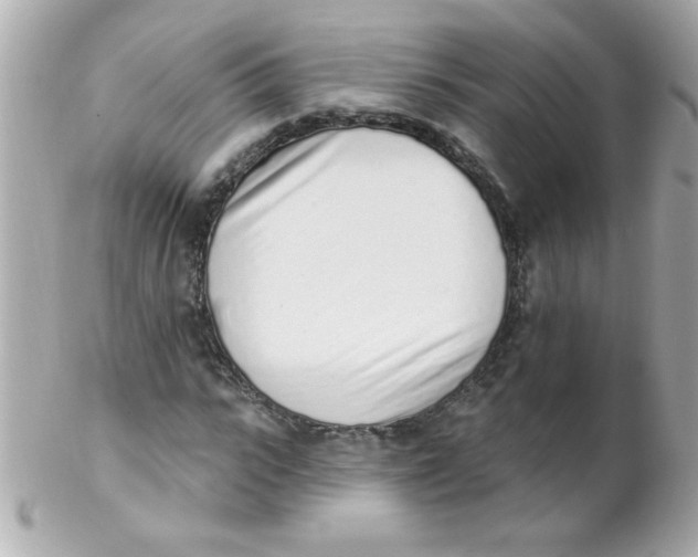 X0000102290919200808151949