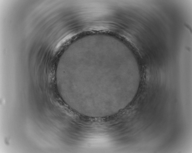 X0000102290920200808151949