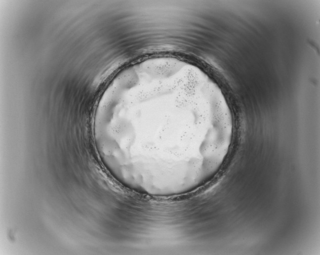 X0000102290921200808151949