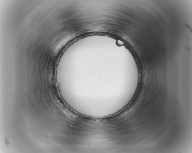 X0000102290922200808151949