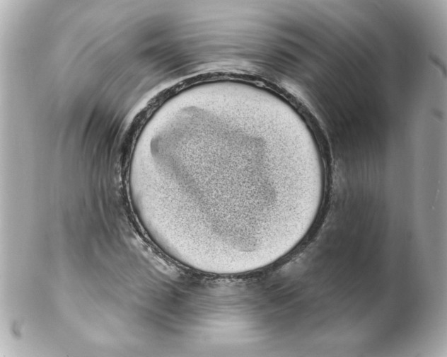 X0000102290923200808151949