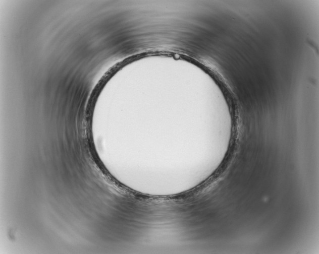 X0000102290924200808151949