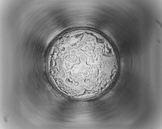 X0000102290925200808151949