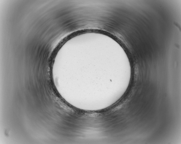 X0000102290926200808151949