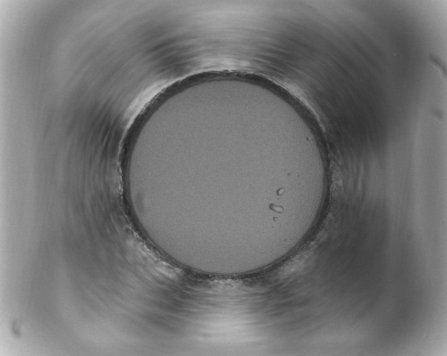 X0000102290927200808151949