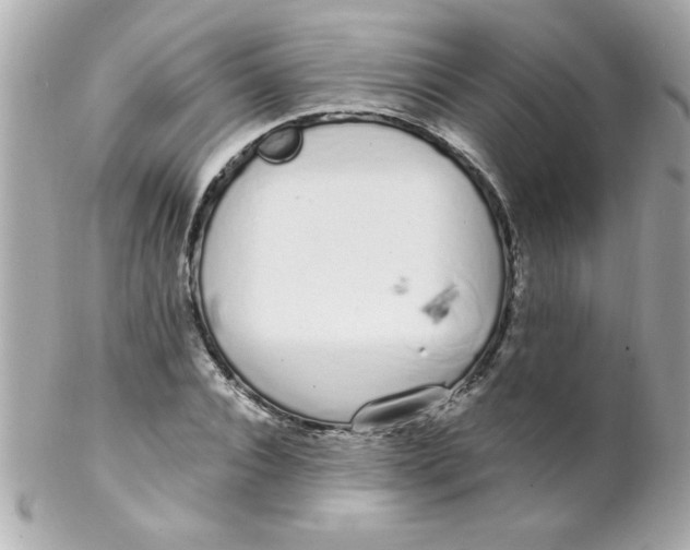 X0000102290928200808151949