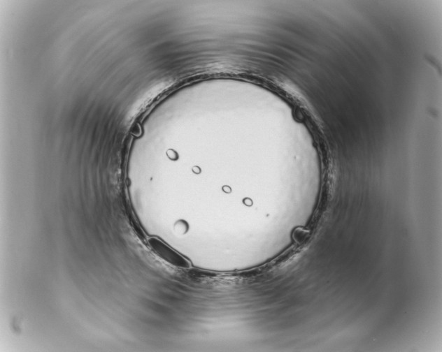 X0000102290930200808151949