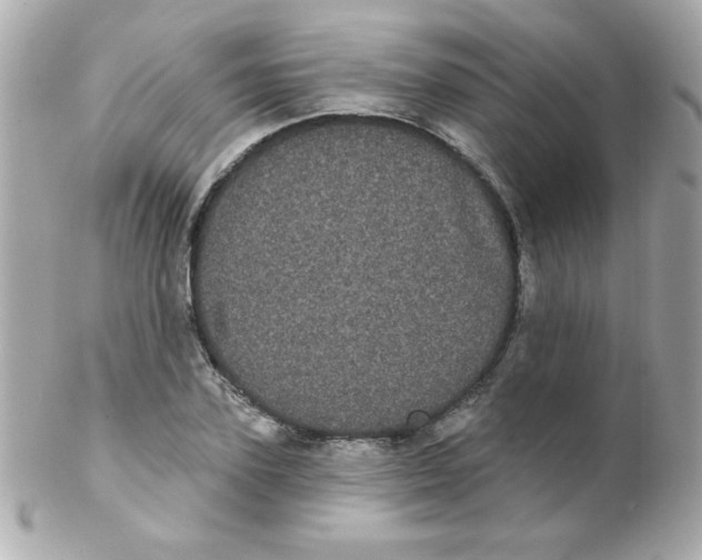 X0000102290931200808151949