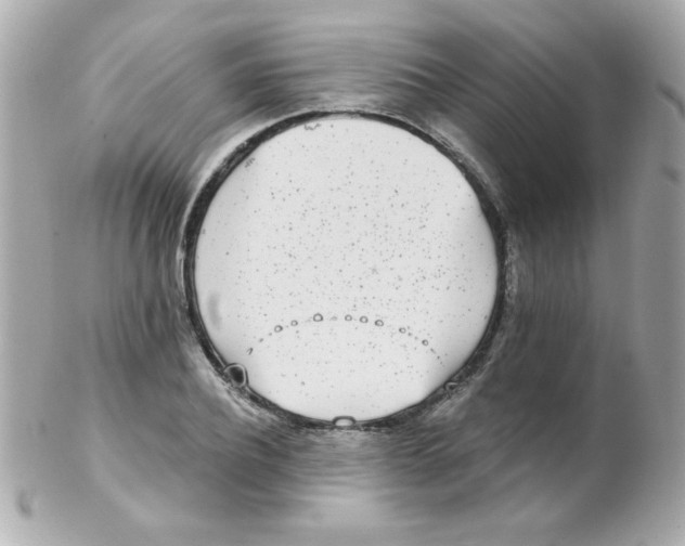 X0000102290932200808151949