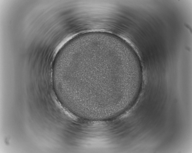 X0000102290933200808151949