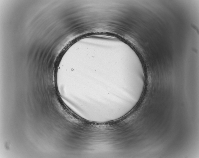 X0000102290934200808151949