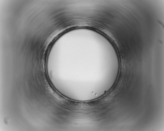 X0000102290935200808151949