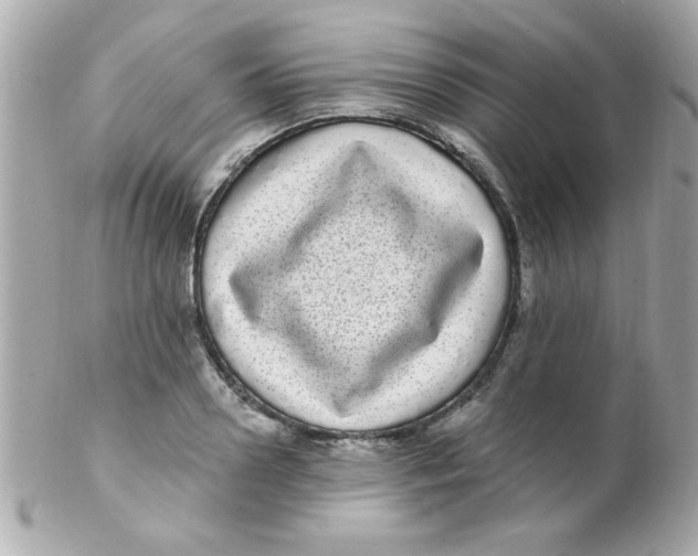 X0000102290938200808151949