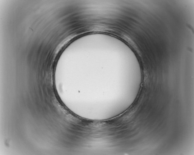 X0000102290939200808151949