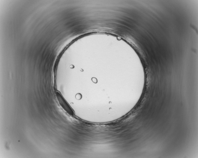 X0000102290940200808151949