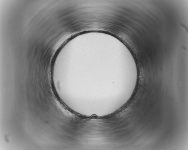 X0000102290942200808151950