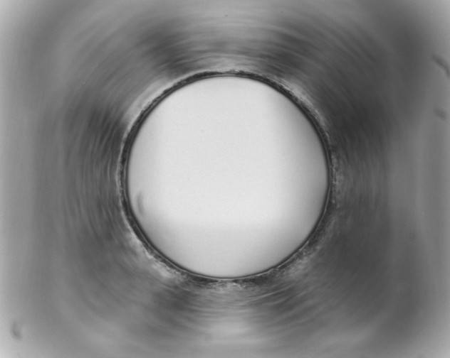 X0000102290943200808151950